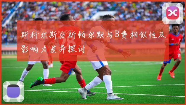 斯科尔斯分析帕尔默与B费相似性及影响力差异探讨