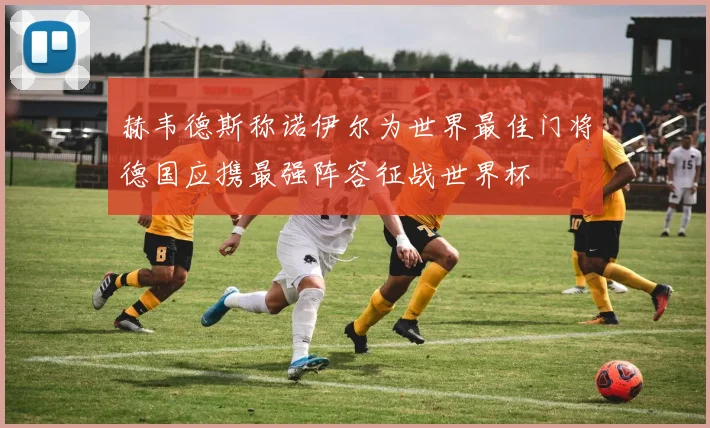 赫韦德斯称诺伊尔为世界最佳门将德国应携最强阵容征战世界杯
